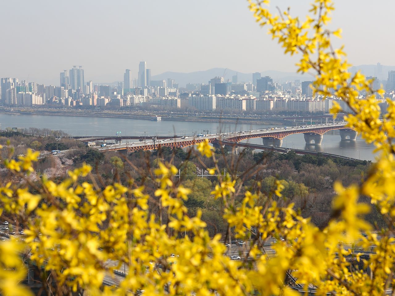 ハナ銀行 両替レートクーポン | 韓国旅行基本情報｜韓国旅行「コネスト」