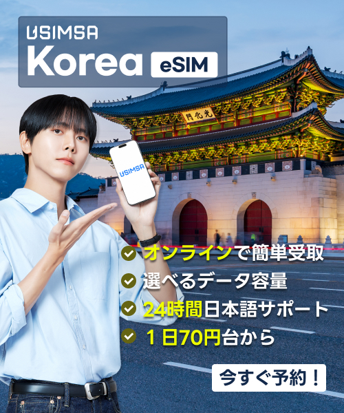 深夜リムジンN6002番(仁川空港⇒清凉里駅)のバス路線一覧と停留所