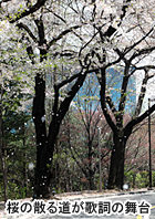 桜の散る道が歌詞の舞台