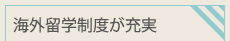 海外留学制度が充実