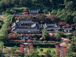 安東１日【ソウル発着】