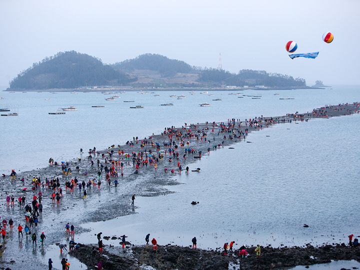 珍島神秘の海割れ祭り 写真提供： 韓国観光公社