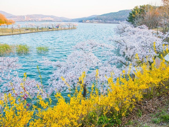 慶州普門観光団地※写真提供：韓国観光公社