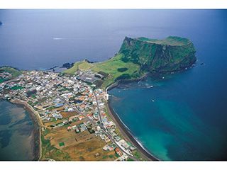 済州島観光 東側コース【現地発着】