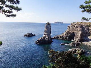 済州島観光 西帰浦市内午前【現地発着】