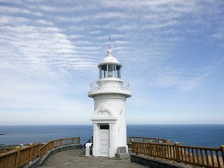 済州島観光1日ツアー 東側＋牛島コース【現地発着】