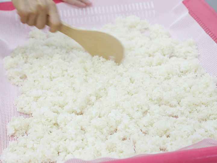 専門家の先生の指導のもと、体験が進みます。