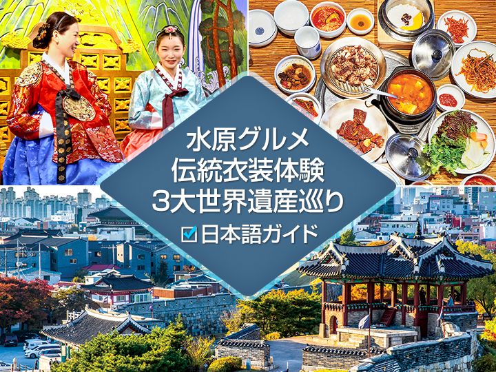 【世界遺産】水原華城＋選べる観光プラン