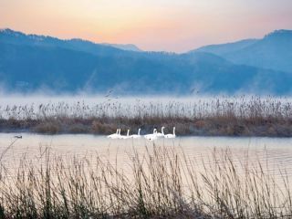 春川(チュンチョン)のおすすめ観光エリアガイド｜韓国旅行「コネスト」
