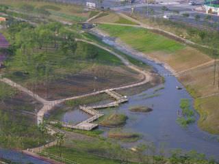 ゴミの埋立地が生態復元工事を経て、緑の多い美しい公園に