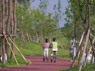 ローラースケート可能な道路やサッカー場、児童公園などもあります