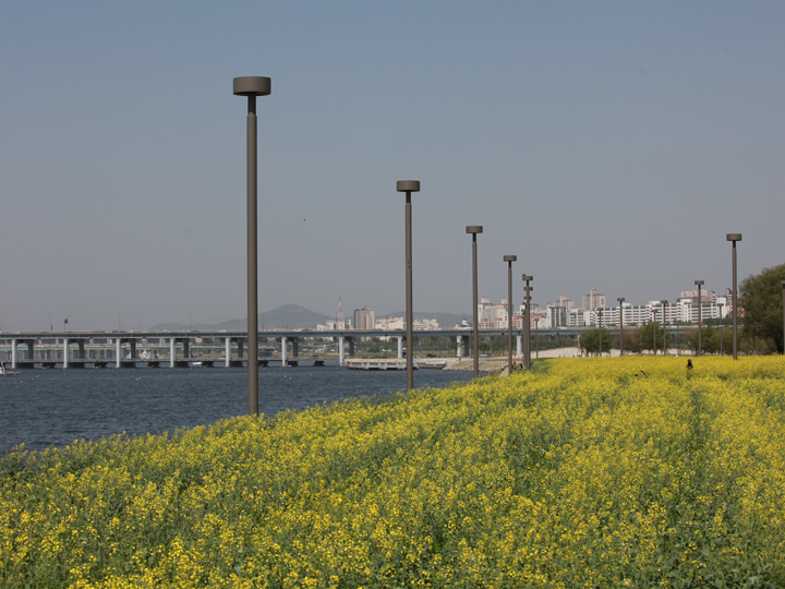 別名「菜の花の島」と呼ばれている