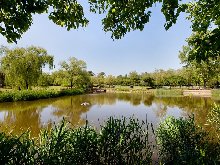 市民憩いの公園
