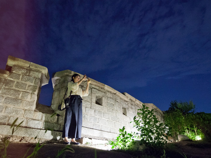 城郭そのものもライトアップ