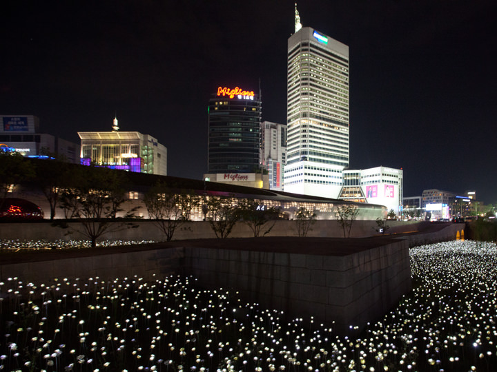 毎日19:30頃に点灯するLEDバラ庭園