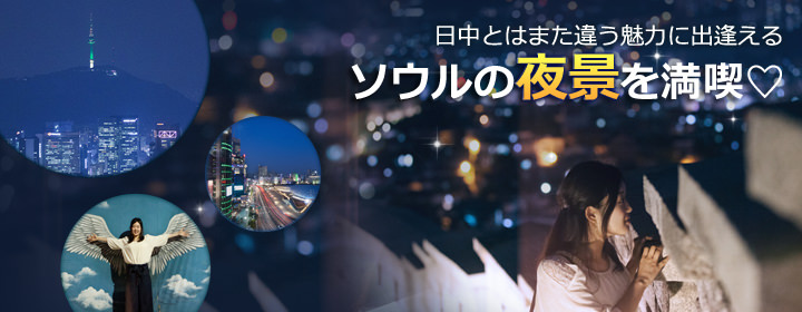 ナイトツアー北岳スカイウェイ+駱山公園コース体験