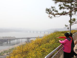 漢江周辺の景色が一望できる