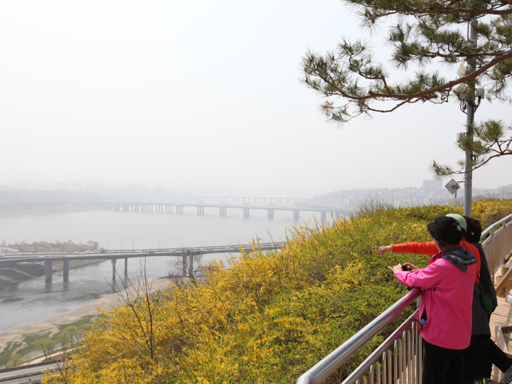 漢江周辺の景色が一望できる