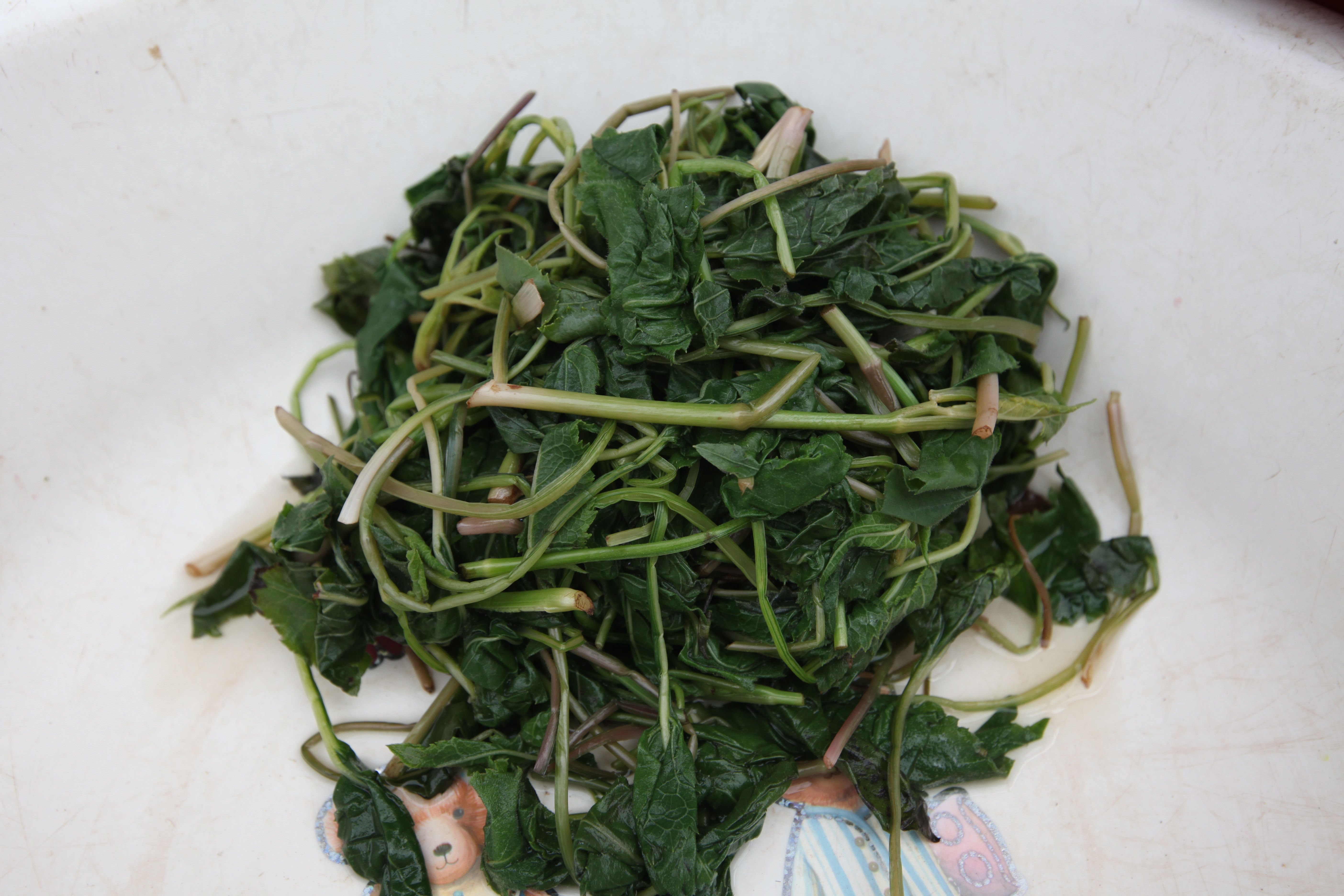 【ナムルに】チナムル(白山菊の葉)