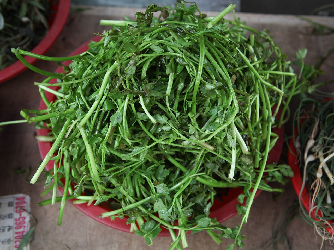 【ナムルに】ミナリ(セリ)