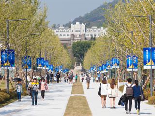 正門から校内に伸びるメインストリート「白楊路(ペギャンノ)」
