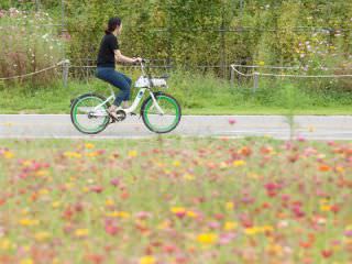 広い公園内の移動には、誰でも気軽に利用できるレンタサイクル(有料)がオススメ。コスモスの咲く道を自転車に乗って駆け抜けたら爽快