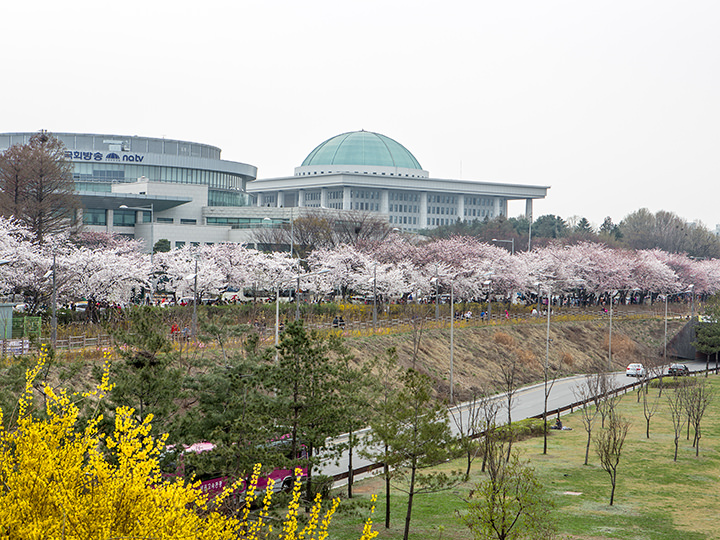 「国会議事堂」のお膝元の公園