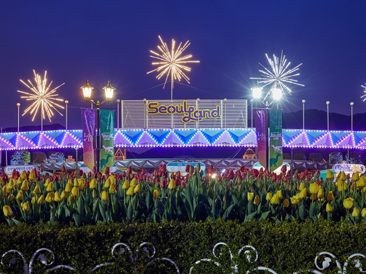 チューリップと共に咲き乱れるイルミネーション