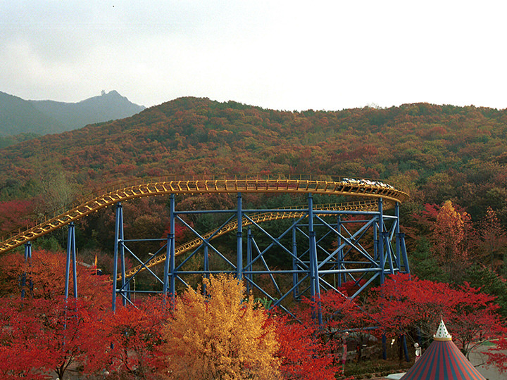 綺麗な紅葉を楽しめます
