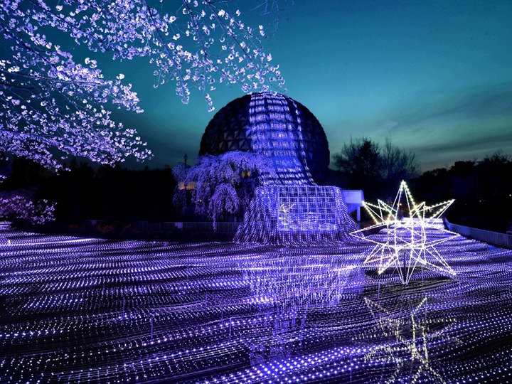 幻想的なイルミネーションが園内を包む