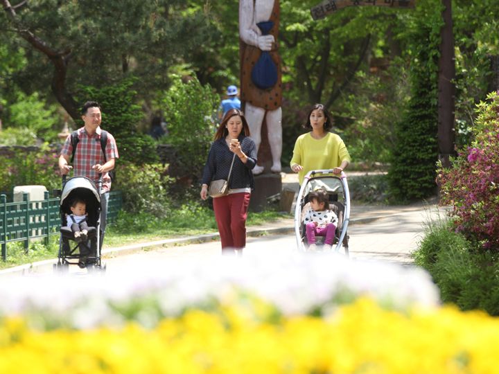 ソウル大公園 ソウル動物園 ソウル大公園 京畿道 の観光スポット 韓国旅行 コネスト