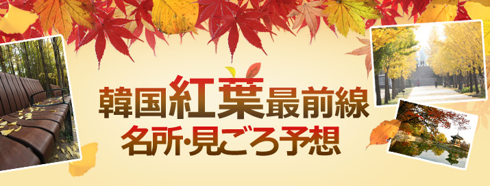 韓国紅葉最前線
名所・見ごろ