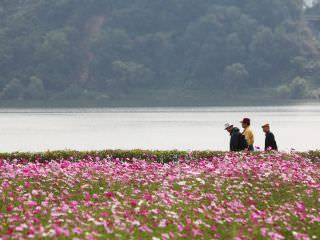 漢江(ハンガン)を眺めながら散歩を楽しむ住民