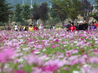 花祭りは各地方から訪れた観光客で連日賑わっています