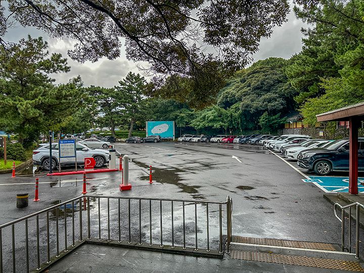 入口近くに無料駐車場あり