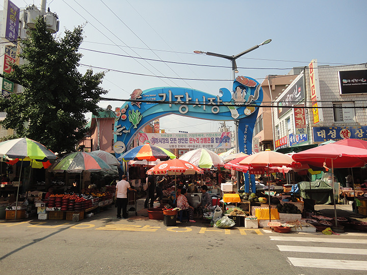 ズワイガニが有名な釜山の東部・機張に位置する「機張市場」