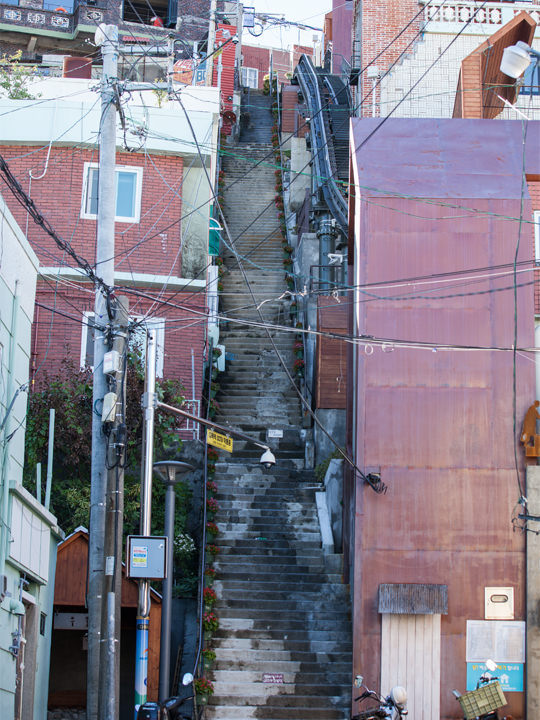 ※写真は以前のものです。