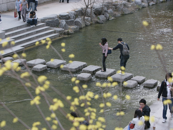 梅やレンギョウも見られる春の清渓川