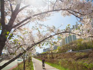 ４月には桜が咲く名所