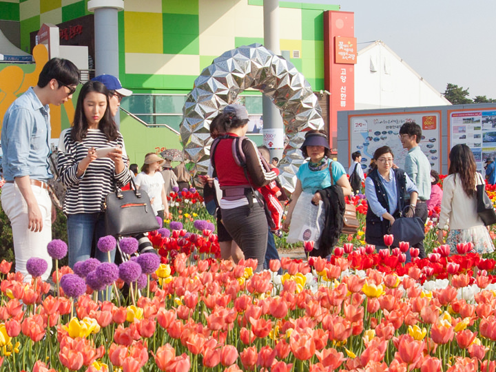 高陽国際花博覧会 一山 京畿道 の観光スポット 韓国旅行 コネスト 高陽国際花博覧会 一山 京畿道 の観光スポット 韓国旅行 コネスト