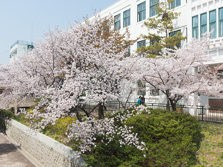 春には桜、秋には紅葉スポットとして人気