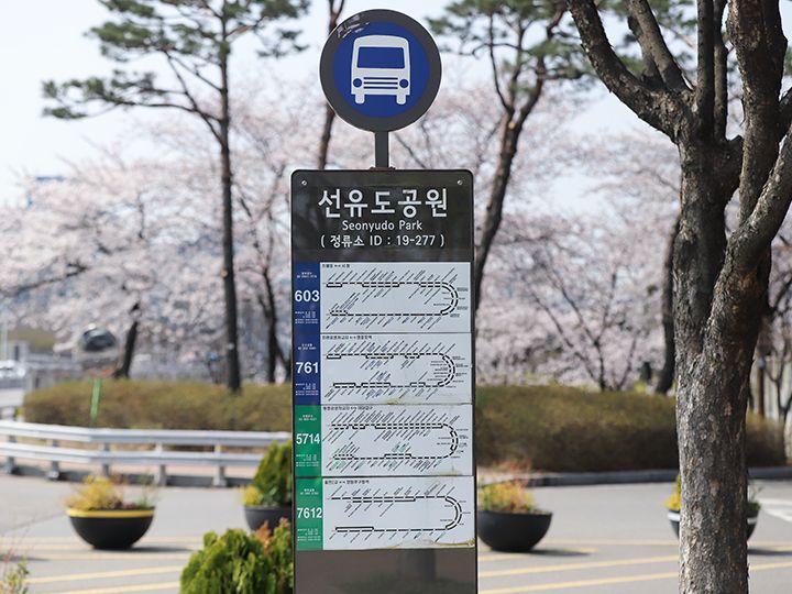 仙遊島のバス停に停車するバス