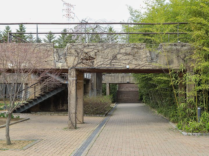 「時間の庭園」
苔やワラビの園、青い森の庭園など8種類のテーマ庭園からなり、多様な植物を観察できます。ドラマの撮影もよく行なわれる「仙遊島」の代表スポット。