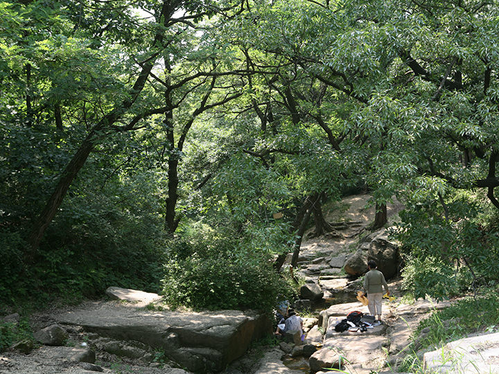 付岩洞(プアムドン)周辺の山中にある渓谷