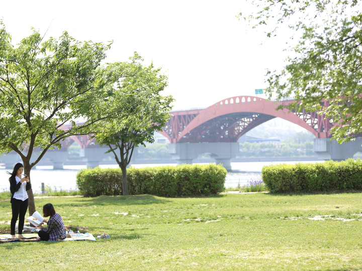 望遠漢江公園 金浦空港 ソウル西部 ソウル の観光スポット 韓国旅行 コネスト