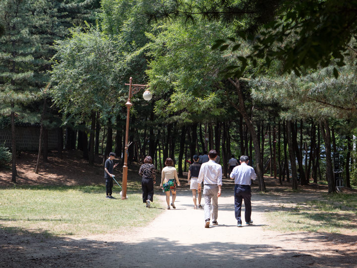 緑豊かな公園
