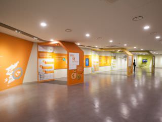 １～２階では常設展示、企画展示を実施