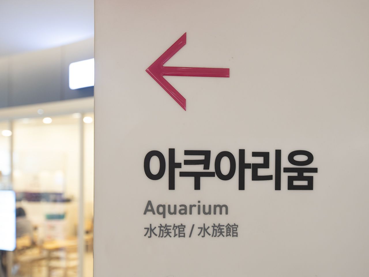 アクアリウム方向に進む