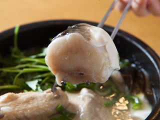フグ参鶏湯には、クロサバフグを使用