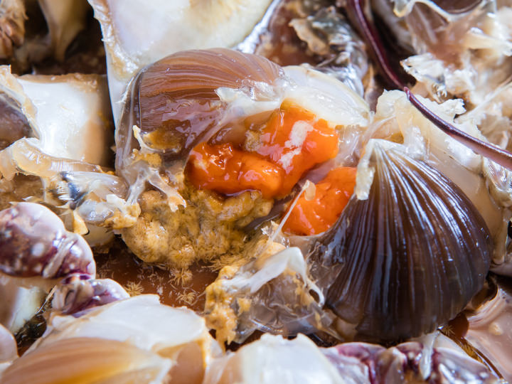 ドレスコード カンジャンケジャンさん専用 1匹カンジャンケジャン_0110-002-S06 | 東京都新宿区 | ふるさと納税